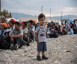 refugee
