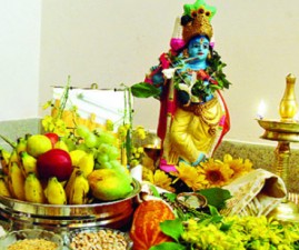 tcr-vishu