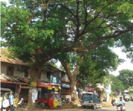 PKD-APAKADAMARANAM