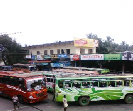 PKD-BUSSTAND