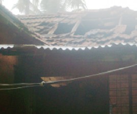 TCR-MAZHA