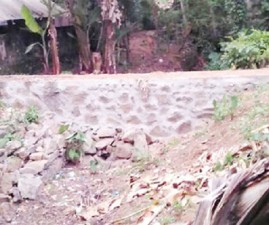 alp-karinkalbhithi