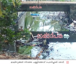alp-malinyam