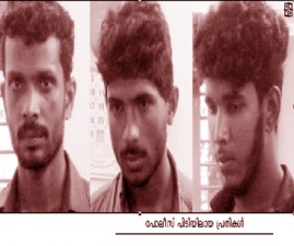 alp-malinyamarrest