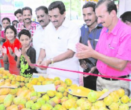 alp-mampazham