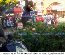 alp-vakamaram