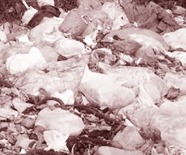 alp-waste