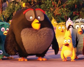 bird