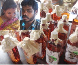kkd-madhyam