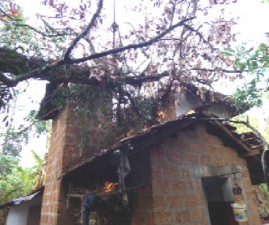 knr-mazha-kattu