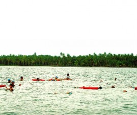 knr-swiming