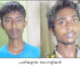 pkd-kallanbengali