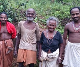 tvm-kanikkarvote
