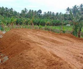 tvm-mannayduppu