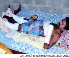 tvm-panni