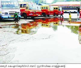 ALP-KSRTCVELLAM