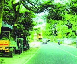 ALP-PURAMPOKKU