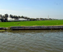 ALP-VELLAPOKKAM