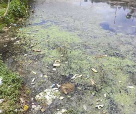 ALP-WASTEWATER