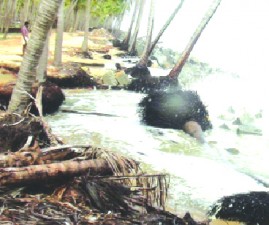 KNR-KADAL