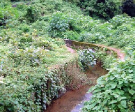 PKD-KANAL