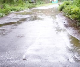 PKD-ROAD