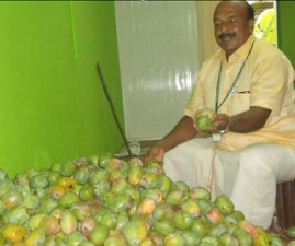 TVM-MAMBHASHAM