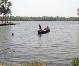 TVM-PALAM