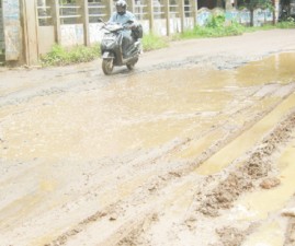 alp-cheliroad