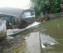 alp-mada