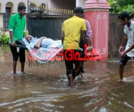 alp-vellam