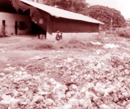 alp-waste