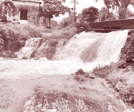 alp-water