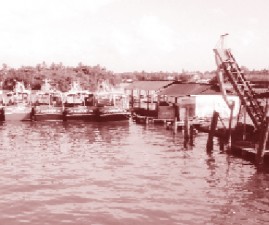 ekm-chakara