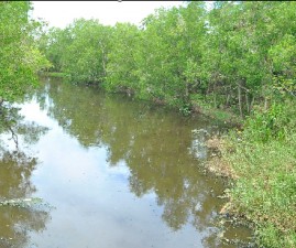 ekm-puzha