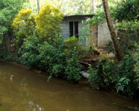 jisha-home