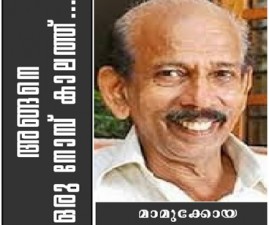 kkd-mamu