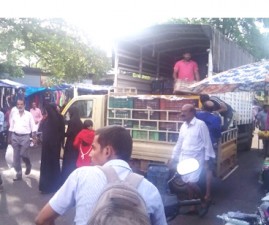 knr-pachakari