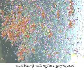 knr-urumbu