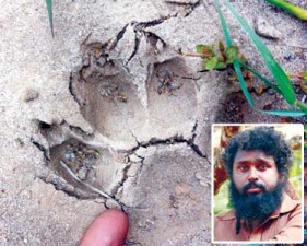 pULI