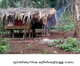 pkd-adivasi