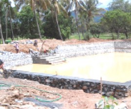 pkd-kulam