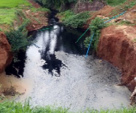 pkd-malinajalam