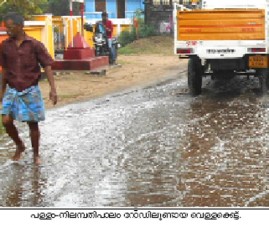 pkd-roadilvellam