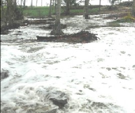 tcr-beach
