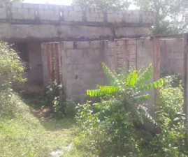 tvm-house