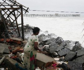 tvm-kadal