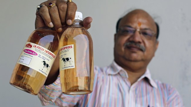 Vikash Chandra Gupta, a charted accountant by profession and venturer of cow urine business hold the bottles of cow urine which he plans to retail at Greater Noida, Uttar Pradesh on the outskirts of New Delhi, India on June 17, 2016. (To match Anindya Upadhyay’s story)