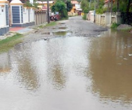 PKD-ROAD-VELLAKETTU