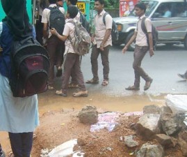TCR-MANNU
